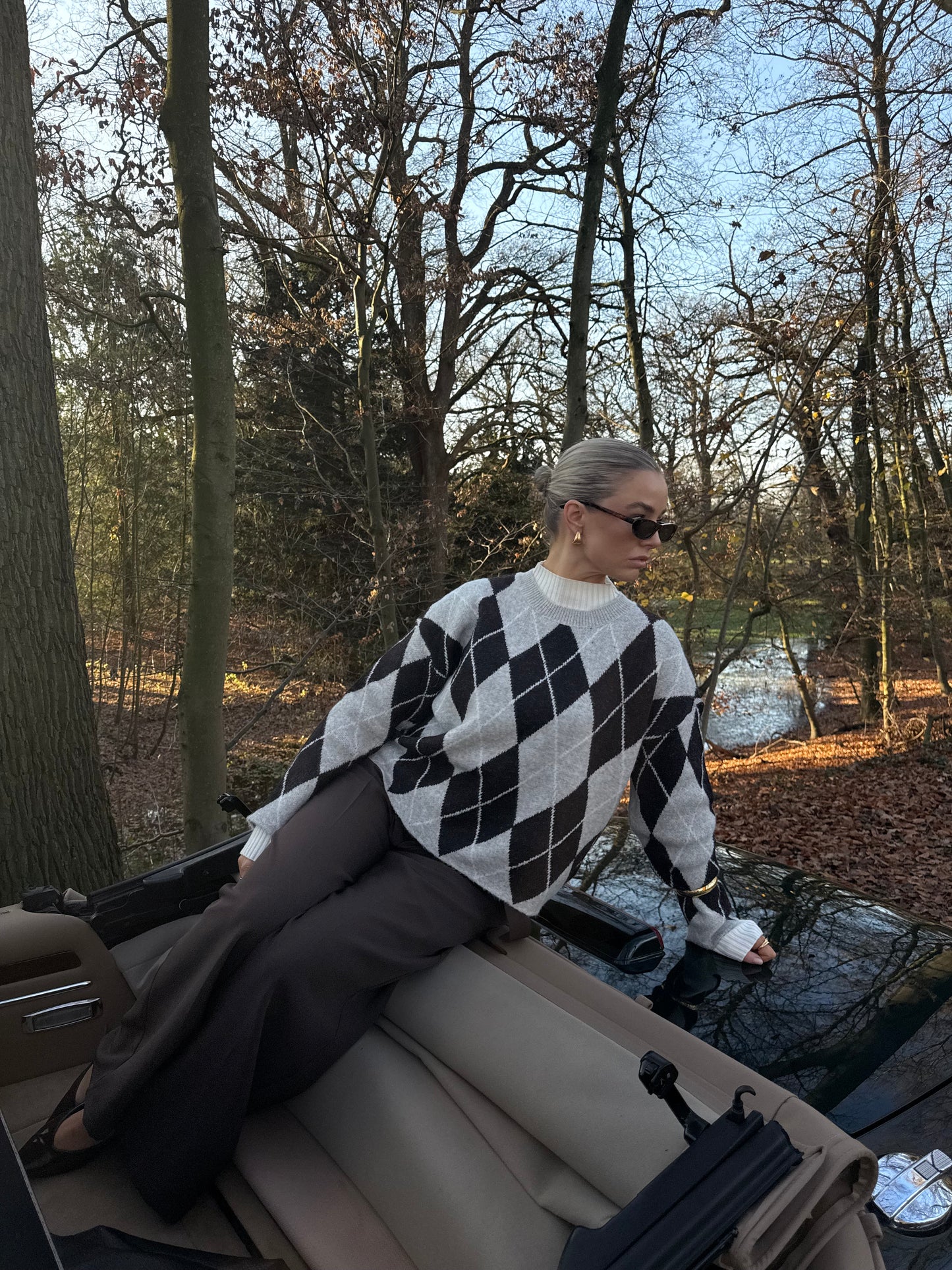 Ruit trui bruin en beige