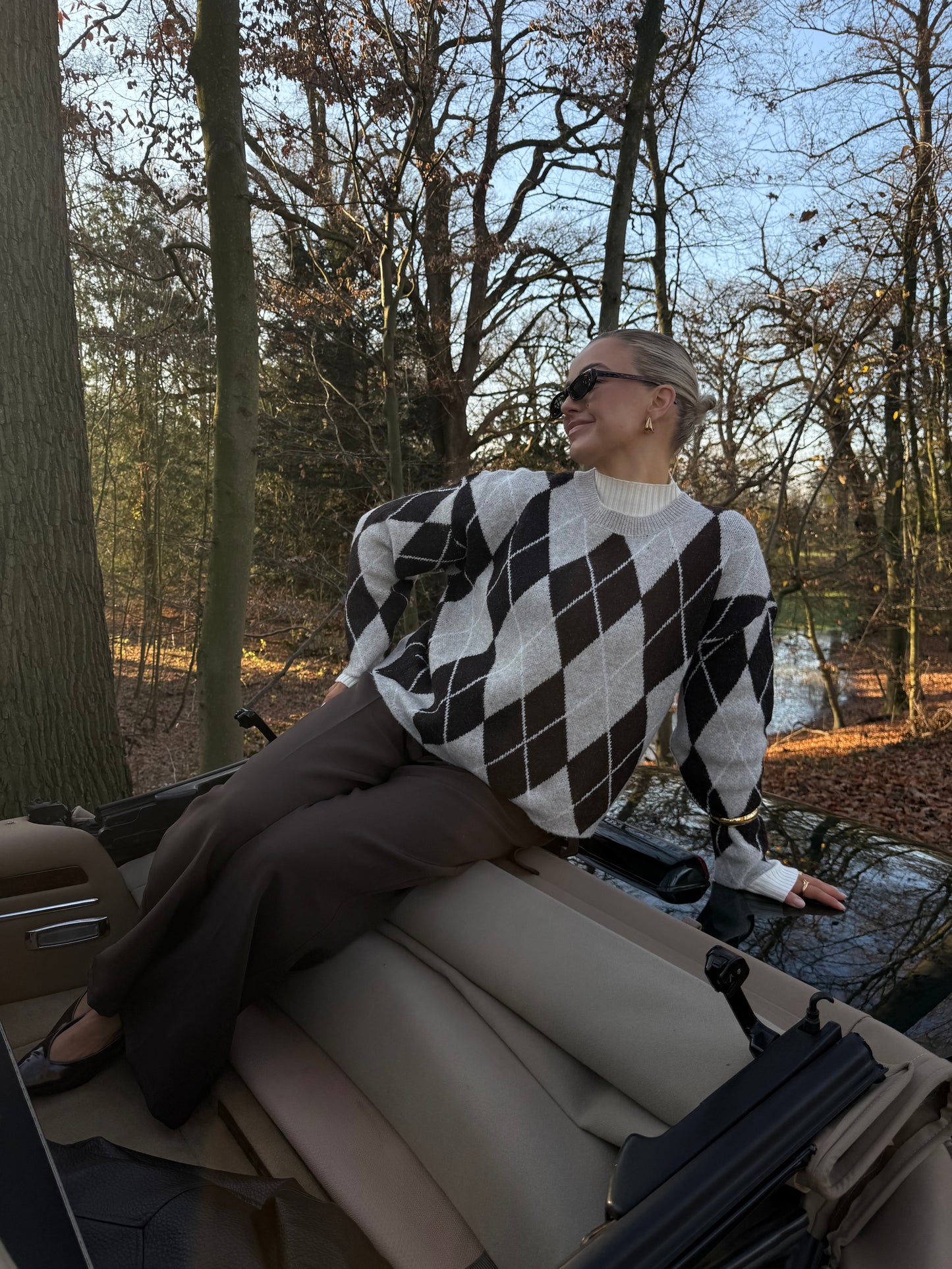 Ruit trui bruin en beige