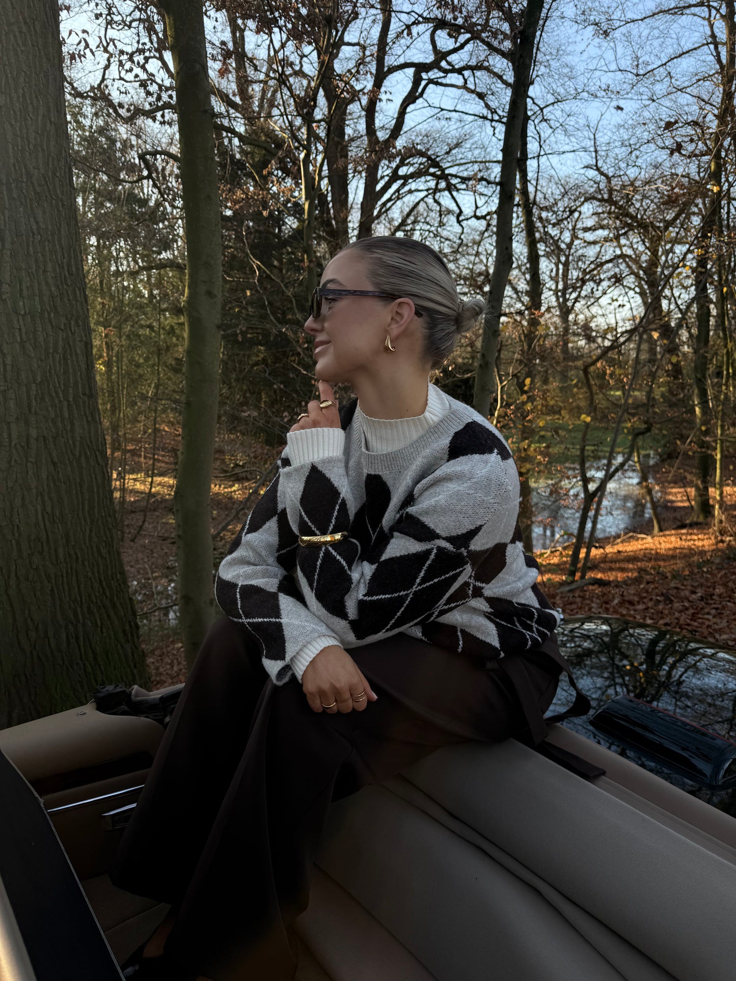 Ruit trui bruin en beige