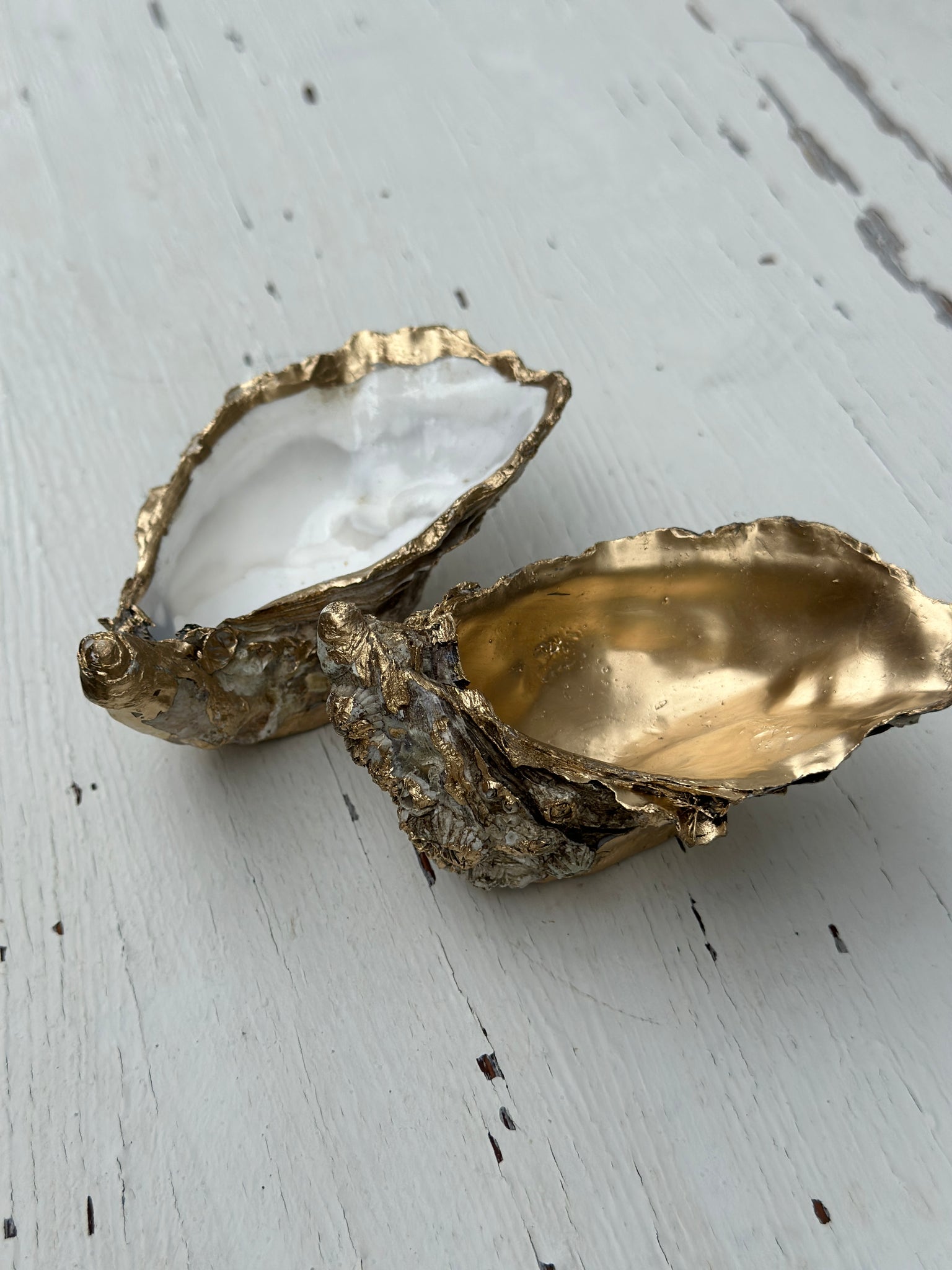 Oesters