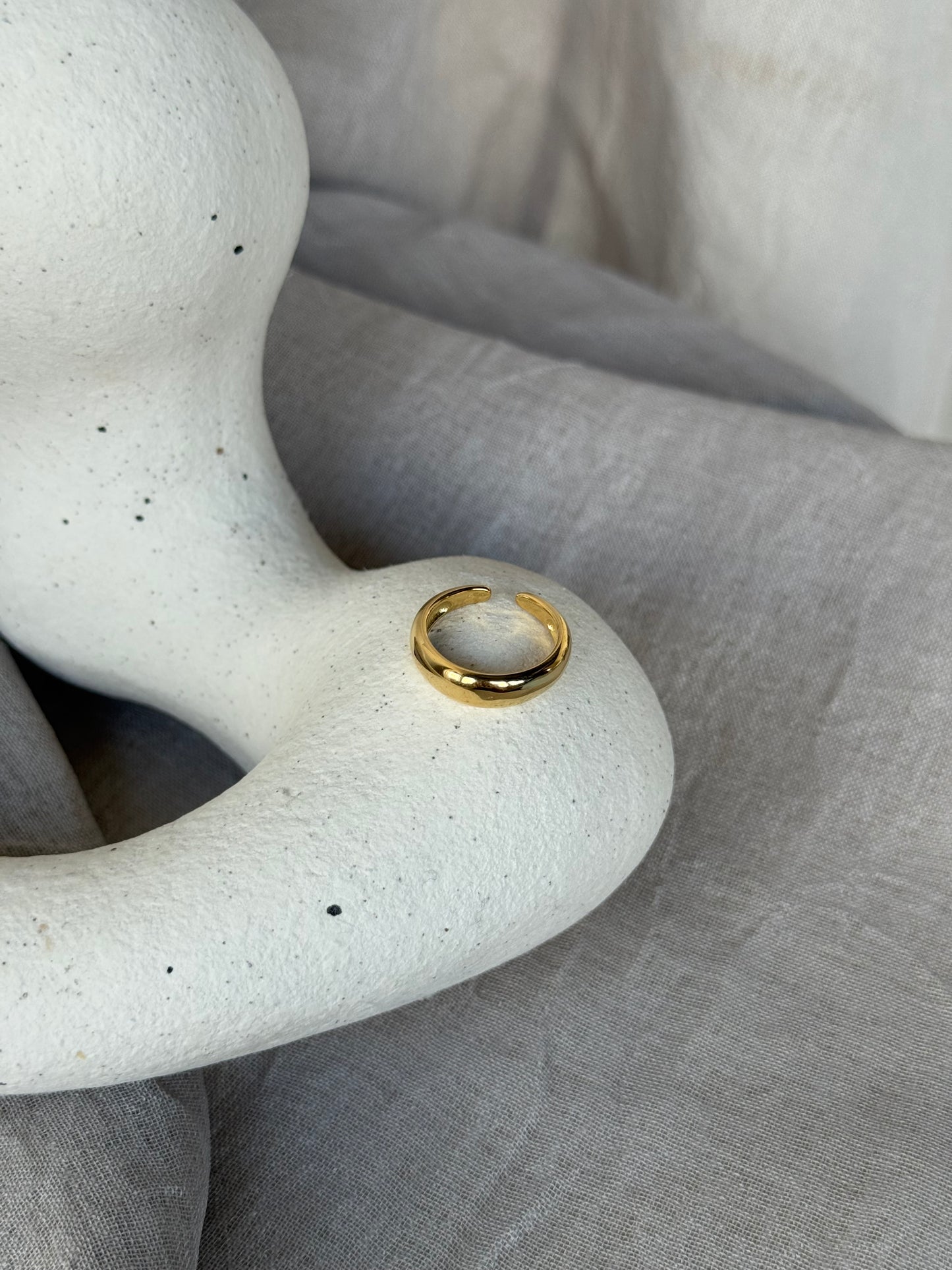 Ring chique