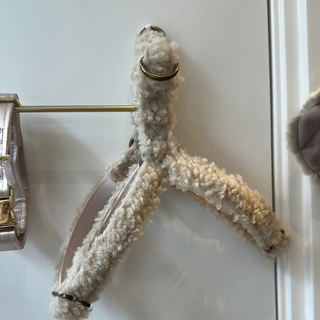 Teddy tuigje hond